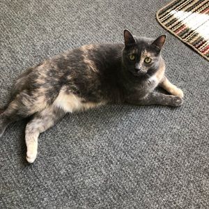 Meet your Posher, Jennifer